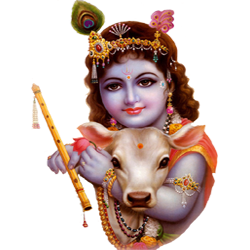 Lord Krishna